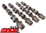 MACE PERFORMANCE CAMSHAFTS TO SUIT HOLDEN CAPRICE WL WM WN ALLOYTEC LY7 LWR 3.6L V6