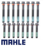 MAHLE STANDARD HEAD BOLT SET TO SUIT HOLDEN MONARO V2 L67 SUPERCHARGED 3.8L V6