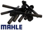 MAHLE COMPLETE HEAD BOLT SET TO SUIT HOLDEN CALAIS VN VP VR BUICK LN3 L27 3.8L V6