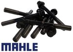 MAHLE COMPLETE HEAD BOLT SET TO SUIT HOLDEN COMMODORE VN VP VR BUICK LN3 L27 3.8L V6