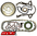 MACE STANDARD REPLACEMENT TIMING CHAIN KIT TO SUIT HOLDEN ECOTEC L36 3.8L V6