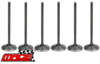 SET OF 6 MACE STAINLESS STEEL INTAKE VALVES TO SUIT HOLDEN ECOTEC L36 L67 SUPERCHARGED 3.8L V6
