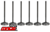 SET OF 6 MACE INTAKE VALVES TO SUIT HOLDEN ONE TONNER VY ECOTEC L36 3.8L V6