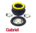 PAIR OF GABRIEL FRONT STRUT MOUNTS TO SUIT HOLDEN VR-VE WH-WM V2 SEDAN WAGON UTE COUPE CAB CHASSIS