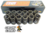 SET OF 12 CROW CAMS VALVE SPRINGS TO SUIT FORD FALCON AU INTECH HP VCT & NON VCT E-GAS LPG 4.0L I6