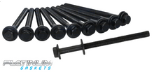 PLATINUM CYLINDER HEAD BOLT SET TO SUIT FORD YNWS YN2S YMF6 YNF6 YNR6 TWIN TURBO DIESEL 2.0L I4
