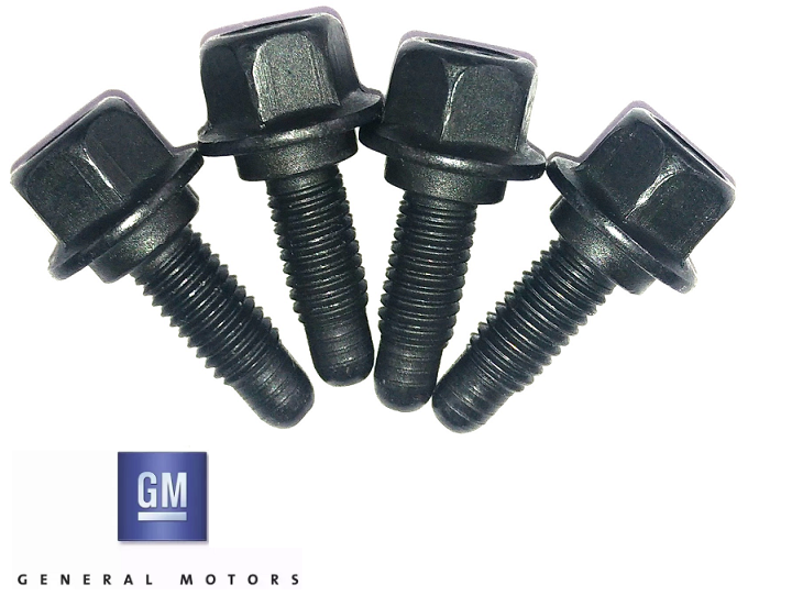 GM LIFTER GUIDE BOLT SET TO SUIT HOLDEN CREWMAN VY VZ LS1 L76 L98 5.7L 6.0L V8