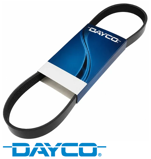 DAYCO SERPENTINE DRIVE BELT TO SUIT HOLDEN CAPRICE WH L67 SUPERCHARGED 3.8L V6